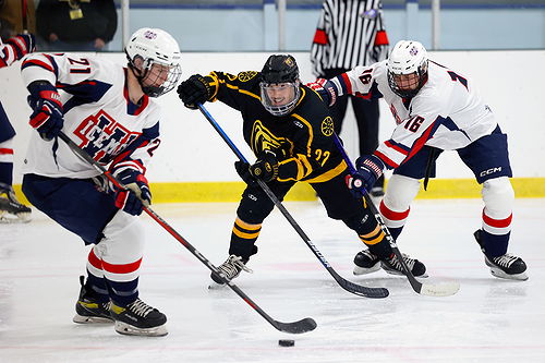 Icemen vs Bruins