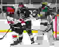 11a3a37e-f73d-45fc-8c70-3b4e30395b61