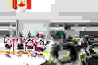 295fcd85-df4f-48ca-8a04-8daa52373640
