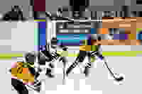 e9b9233f-00a6-449d-8f45-18b7e9f3293d