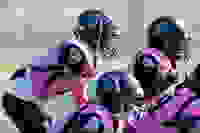 f4b68523-068d-4101-badd-6328a62e9415