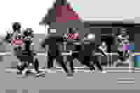 70e25578-c52d-4101-ba18-5fb3d1fe3ca9