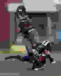 d8e5e410-c1a3-4984-88a4-e9c74c3c0348