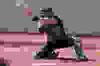 b6cc3940-557e-4089-ac42-a21465eb457b