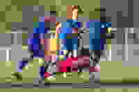 15fba2a8-2061-4d01-8062-09bfe288bcab