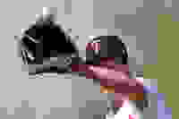 ddb086c2-1aa8-4550-9823-10eeff5956df