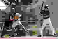 68da7a0e-a58b-499f-98db-410ef1cfdcf2