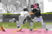 c375132c-ed2f-4b21-823e-603ce19e8c18