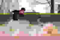 5b4c259e-ae89-443a-a54b-bbadb30a61eb