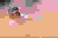 a0b0071e-e433-476b-a1a4-f2271a571214