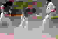 d07dfaa9-1351-43d4-9759-f0a61110f6f0