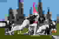 4be4a739-1383-4e98-80ef-ead5a6203d64