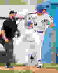 90afba89-235d-4ed3-8cdb-c89d8c8bd1a0