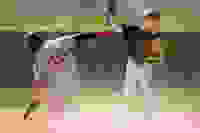 456166eb-dc9d-46d3-84c9-038c334b73c1