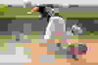 e0ed3d80-6a60-4ee9-a0fe-a6a1139f97c6