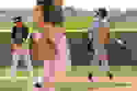 0a4d1140-f98f-42c8-9e7f-2955ed019882