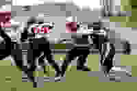 ed299575-99e3-420d-9bd2-cbe493a8abb4