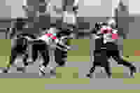 caf80bce-5917-4931-b2f6-01baa70a2abf