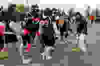 932f6273-9fca-494b-bf8e-5e4eba948ba8