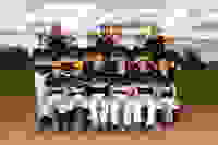 30196df1-9c10-4405-8e14-a70726965719