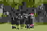 237e9cb8-127f-462a-804a-42e3c88c26ff