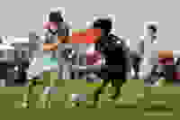 39620754-81dd-406d-941b-d3d59ea3c0ec