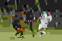 455649b5-2694-4c3f-b896-e28718be05c3