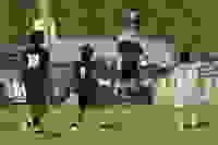 12680432-c782-4ff3-a1d4-85d36ea6a070