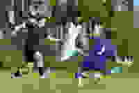 82c10f0e-8b6f-49f1-83c6-522764e1fc48