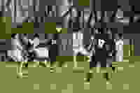 259f6933-de77-4564-8ba9-e12f85da53e4