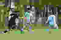 13834b3c-c42a-4826-9944-210678fdbec6