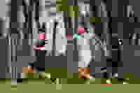 ef5bd43e-9b24-4da9-ae6c-2cabd85bb509