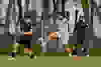8e020b57-b6fe-4788-a794-2f975860cf08