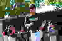e1e67d42-04ea-4a3e-a3f7-8ade76f2bb47