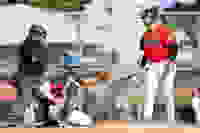 f825ad04-93d9-45e5-9e45-9e8afe9d0c5f
