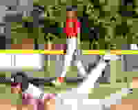 d1160181-3e9f-4c8f-a787-7046be09151b
