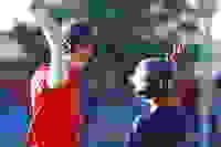 84186193-0819-40bb-aa69-ded125d6780a
