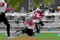 ae376c75-f72a-4d7c-aa85-4941566456bc