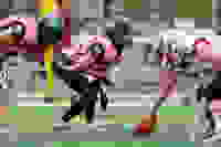 13e04ebf-af19-4f75-974a-565df24b7a66