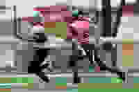 2f7f0b21-d511-4d3c-ad36-8c532c94d6bf
