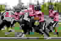 d6f05501-2232-4e8d-b59b-3a9b066b0b72