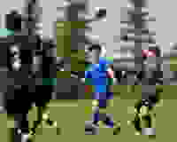 7bc4557f-f862-4f67-bc1c-8e788fea2c71
