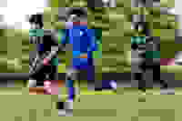0d81421b-ca2c-4371-8d59-3da241ec963f