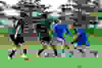 1e18e389-c467-421c-875a-9025cf796dc2