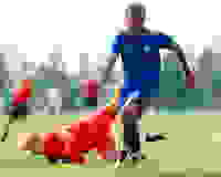a55ddf15-f456-4dc2-aa6b-da4f16aa3bb6