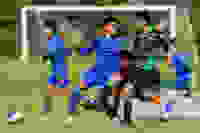 13a7a796-8f41-4086-ae01-be2b767ddd0b