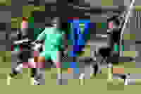 7cabb524-c835-4dce-8453-65b7281b7f46