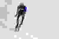 b61e7c9e-3a81-4ec4-8db7-3d5024efdfb0