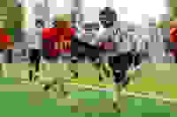3d037d54-aef9-4a5c-acbe-03b8513f2877