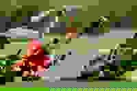 ffb5a7f9-51a7-4aef-b4c5-8c1a491b3b8c